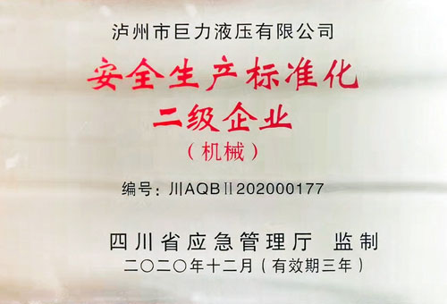 安全生產(chǎn)標(biāo)準(zhǔn)化二級(jí)企業(yè)