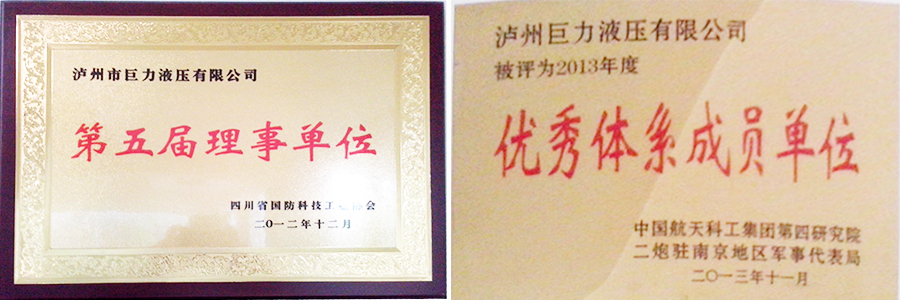 瀘州特種液壓缸