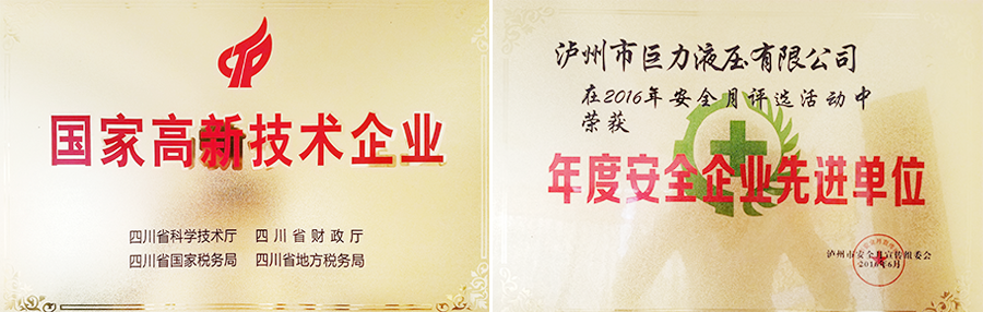 瀘州特種液壓缸