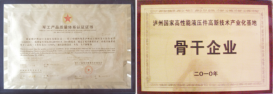 瀘州特種液壓缸