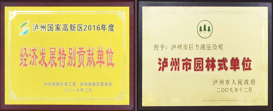 瀘州特種液壓缸