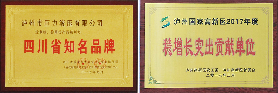 瀘州特種液壓缸