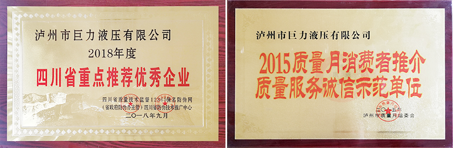 瀘州特種液壓缸