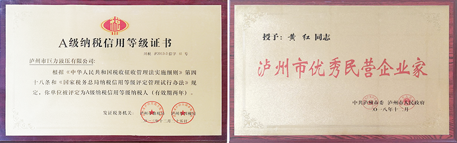 瀘州特種液壓缸